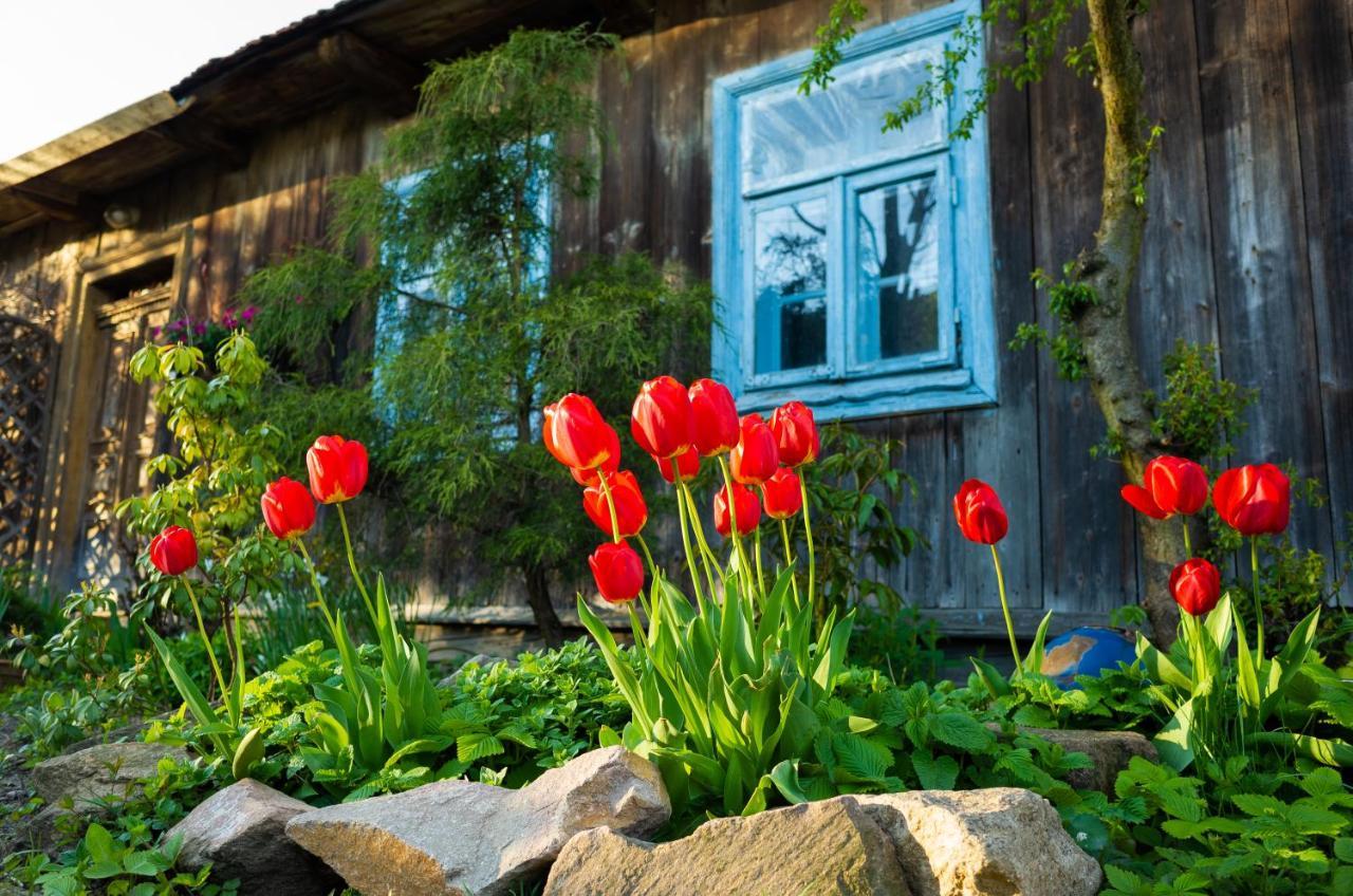 Kogutowo Agroturystyka Mpr Wietrzychowice Exterior foto